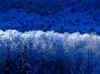 Winter.jpg (150007 bytes)